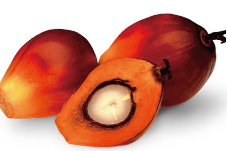 2005 - Членство в RSPO